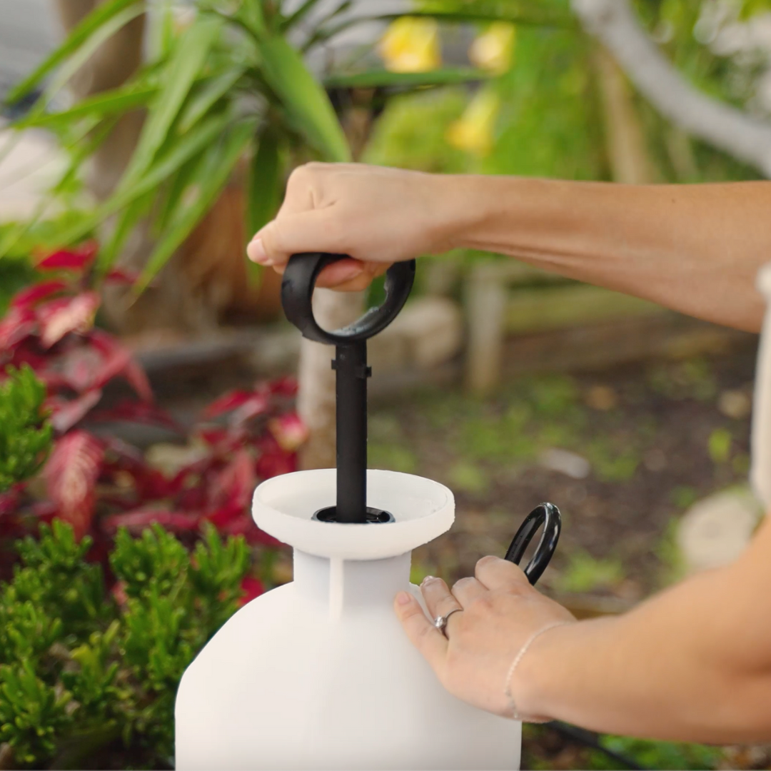 Pump Up Sprayer + 1 Gallon Mosquito Killer & Repellent Combo