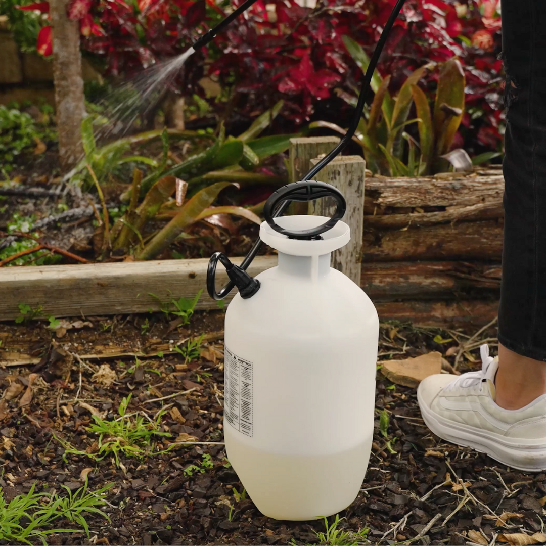 Pump Up Sprayer + 1 Gallon Mosquito Killer & Repellent Combo