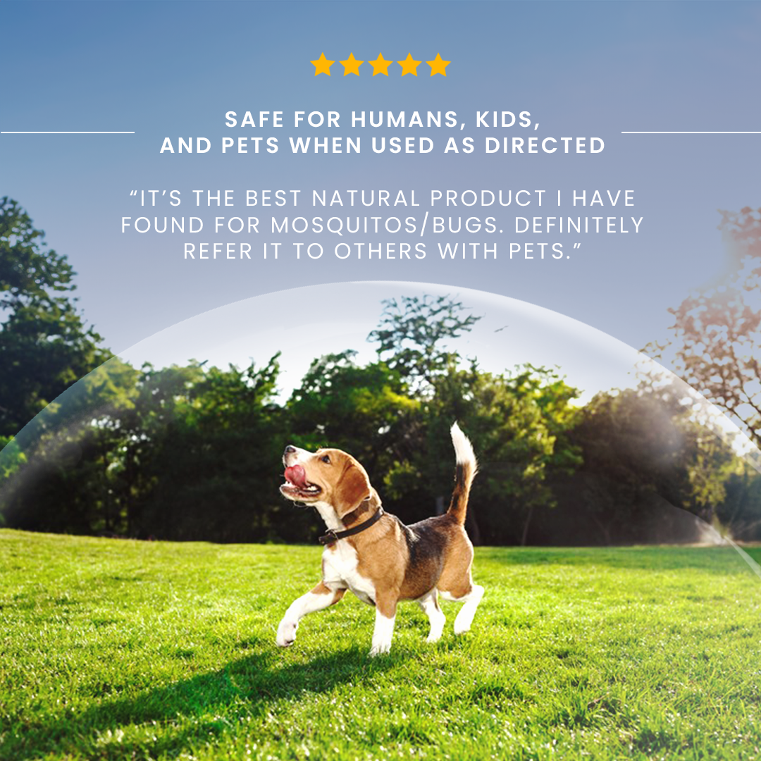 Gas Powered Backpack Fogger + 2 Gallons Mosquito Killer & Repellent Combo