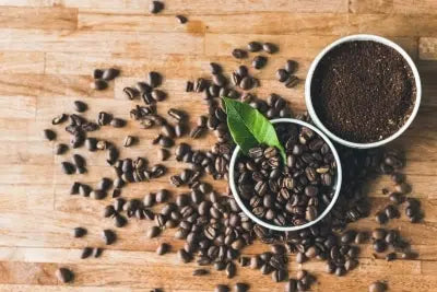 Do Coffee Grounds Repel Mosquitoes?