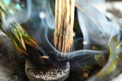 does cigarette smoke repel mosquitoes Does Smoke Repel Mosquitoes? does cigarette smoke repel mosquitoes Does Smoke Repel Mosquitoes?