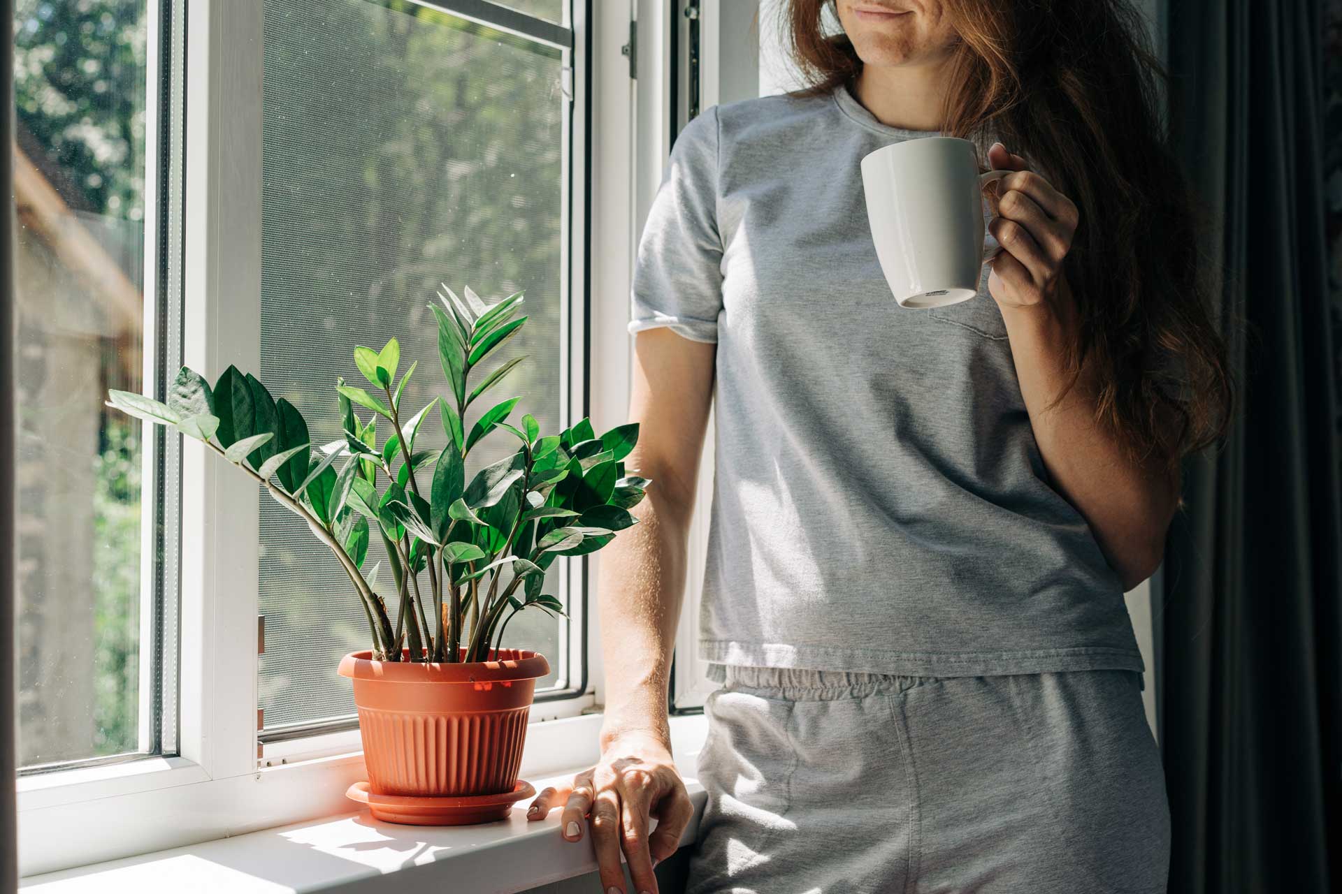 Lady by the window