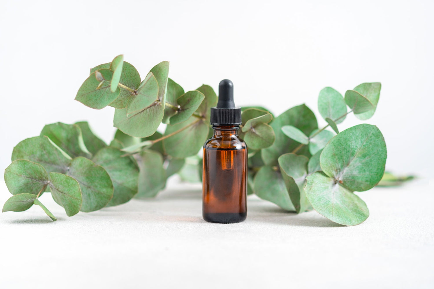 Eucalyptus essencial oil