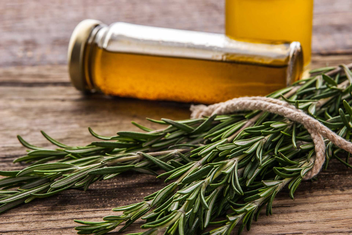 rosemary plant and oil botlle