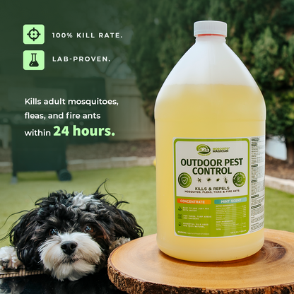 Mosquito Repellent for Yard — Concentrate
