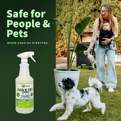 Mosquito Repellent for Yard — Concentrate