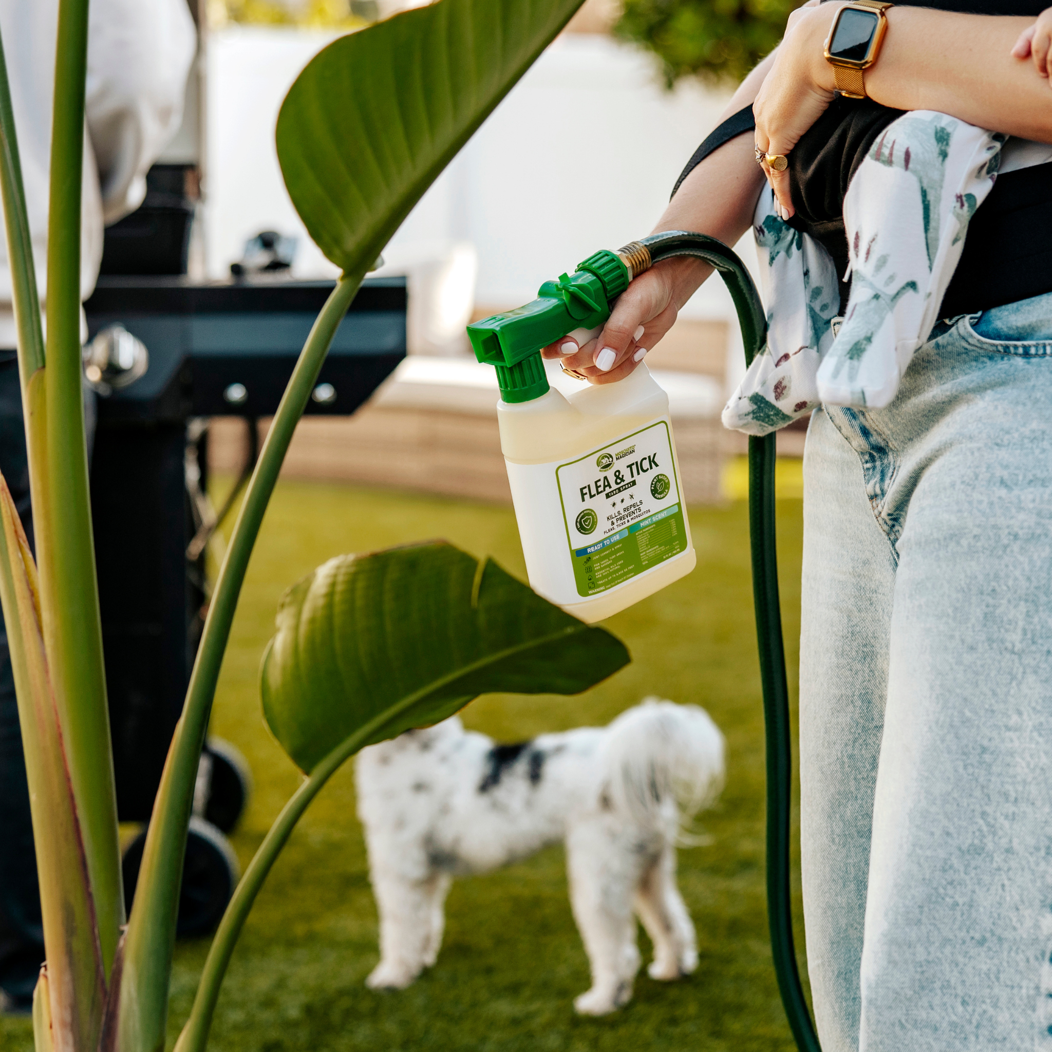 Flea &amp; Tick Repellent for Yard — Hose End Sprayer | 32 oz