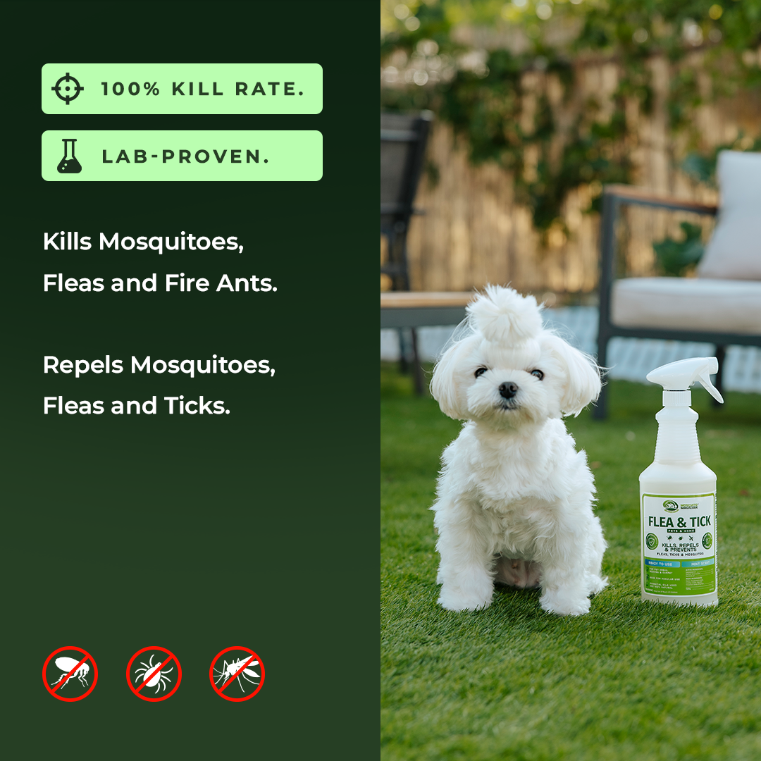 Flea &amp; Tick Repellent for Pets — Spray