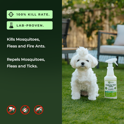 Flea &amp; Tick Repellent for Pets — Spray