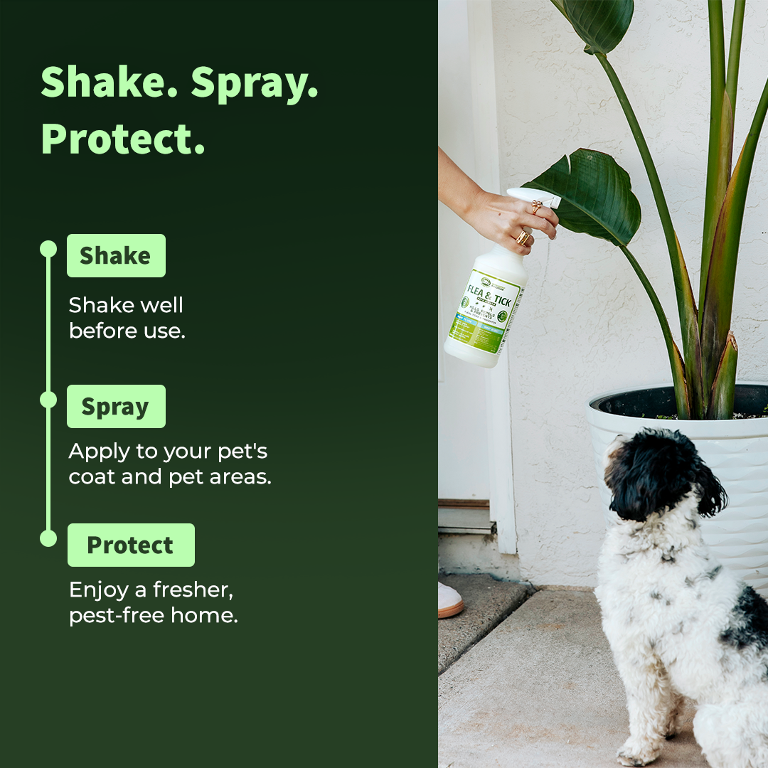 Flea &amp; Tick Repellent for Pets — Spray