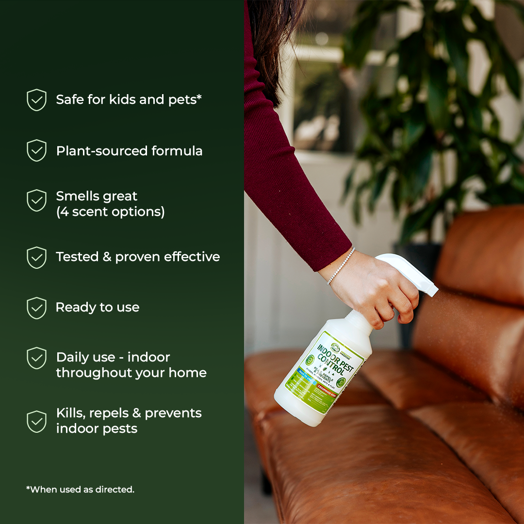 Indoor Multi-Pest Repellent — Essential Oil Spray