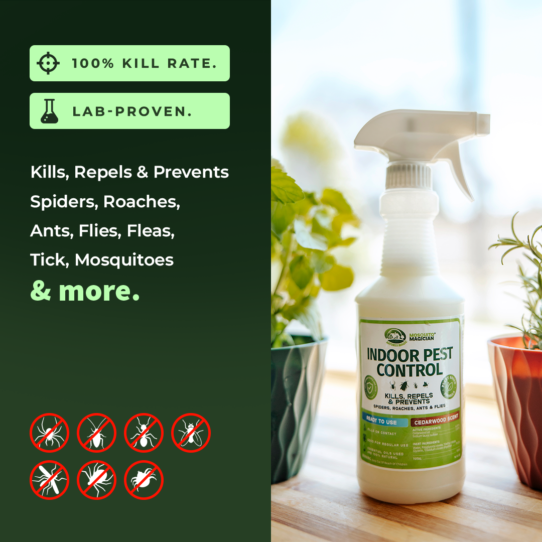 Indoor Multi-Pest Repellent — Essential Oil Spray