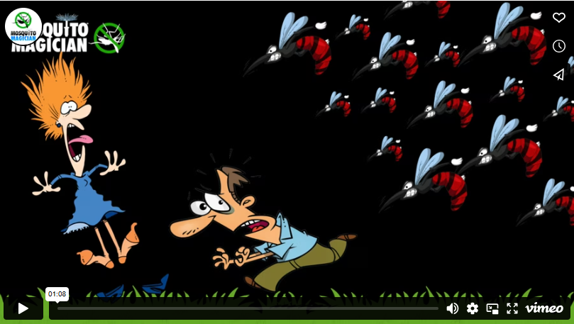 Load video: 