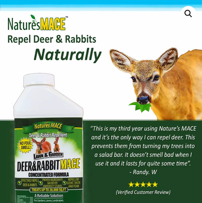 rabbit spray for garden Deer + Rabbit Repellent for Yard — 1 Gallon