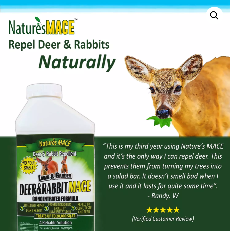 Deer &amp; Rabbit Repellent Formula - 1 Gallon