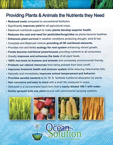 Ocean Solution Organic Fertilizer - 1 gallon