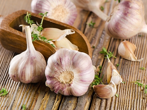 Ingredient - Garlic